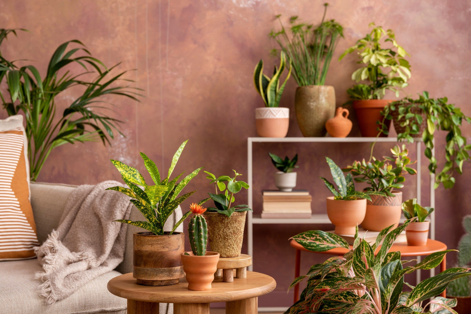 Plant Stands