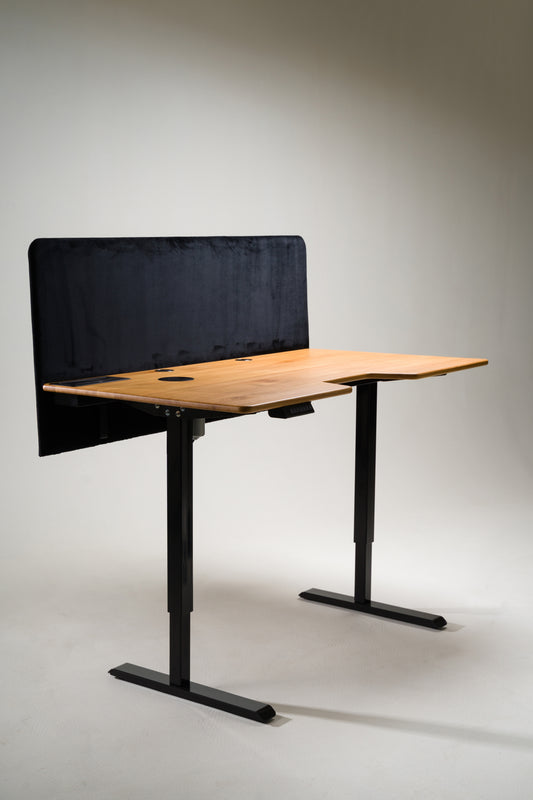Elliot Adjustable Desk